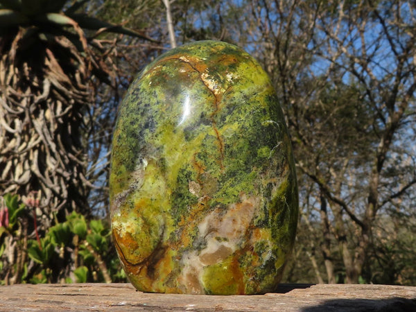 Polished Green Opal Standing Free Form  x 1 From Antsirabe, Madagascar - Toprock Gemstones and Minerals 