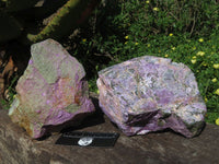 Natural Rare Stichtite & Green Serpentine Specimens x 2 From Barberton, South Africa - TopRock