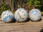 Polished Blue Spotted Spinel Quartz Spheres x 3 From Madagascar - Toprock Gemstones and Minerals 