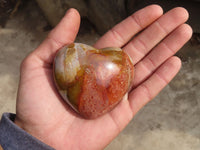 Polished Polychrome Jasper Hearts  x 12 From Madagascar