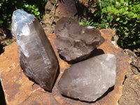 Polished Smokey Morion Quartz Crystals  x 3 From Melanje, Malawi - TopRock