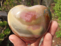 Polished Polychrome Jasper Hearts  x 12 From Madagascar