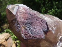 Polished Smokey Morion Quartz Crystals  x 3 From Melanje, Malawi - TopRock