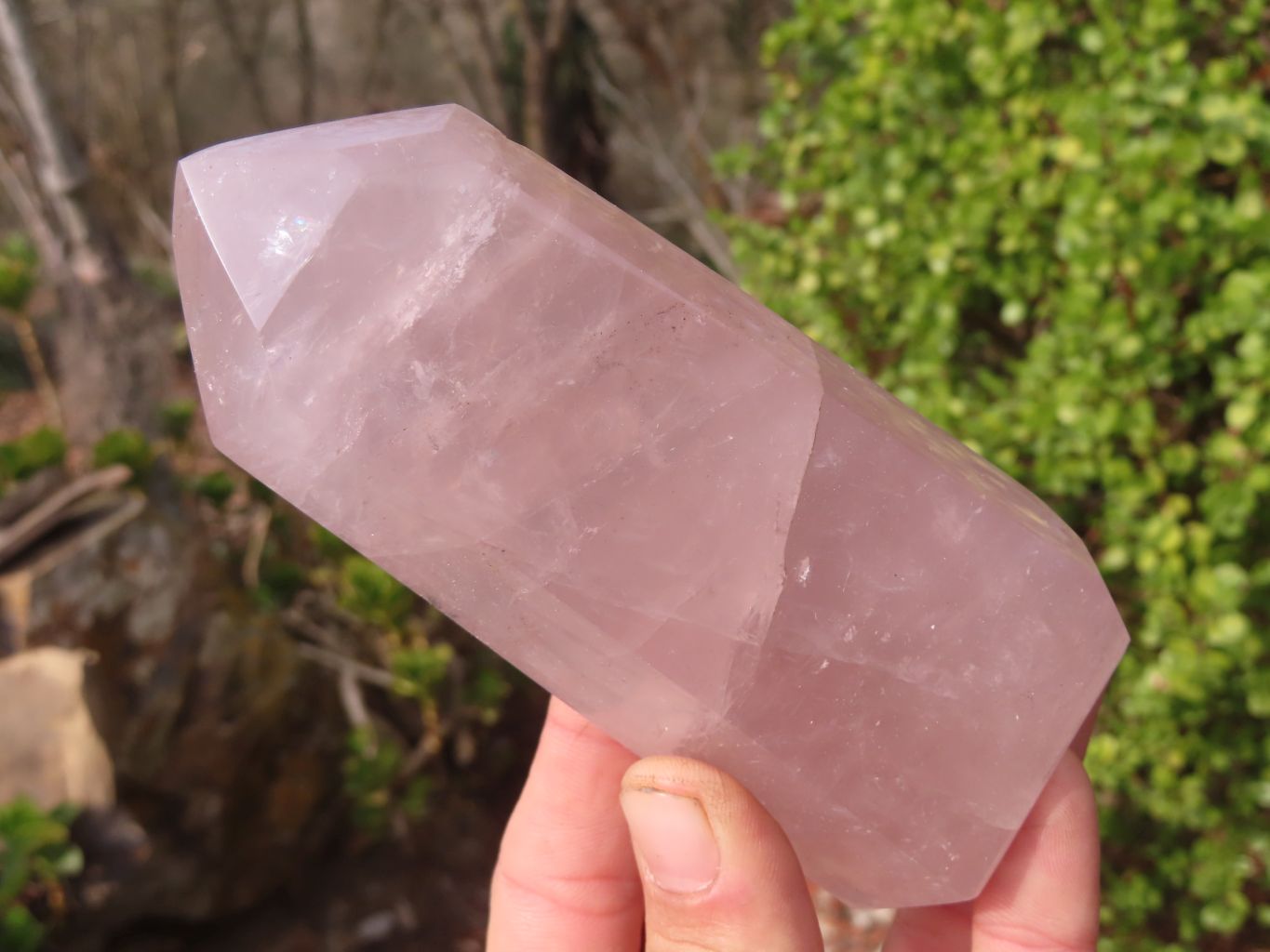 Polished Gemmy Rose Quartz Points x 3 From Antsirabe, Madagascar - Toprock Gemstones and Minerals 