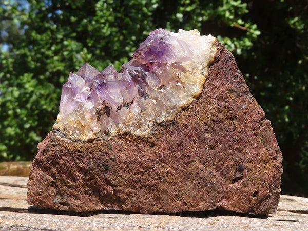 Natural Amethyst In Basalt Geode Specimens x 12 From Zululand, South ...