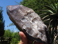 Polished Smokey Morion Quartz Crystals  x 3 From Melanje, Malawi - TopRock