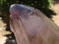 Polished Smokey Morion Quartz Crystals  x 3 From Melanje, Malawi - TopRock