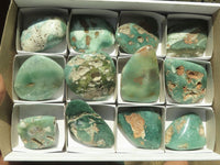 Polished Rare Green Chrysoprase / Chrome Chalcedony / Mtorolite Free Forms  x 12 From Zimbabwe - TopRock