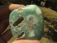 Polished Rare Green Chrysoprase / Chrome Chalcedony / Mtorolite Free Forms  x 12 From Zimbabwe - TopRock