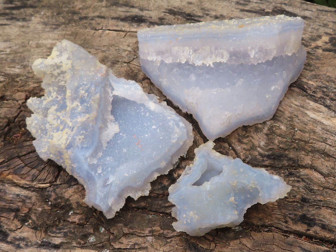 Natural Etched Blue Chalcedony Specimens  x 5 From Nsanje, Malawi - Toprock Gemstones and Minerals 