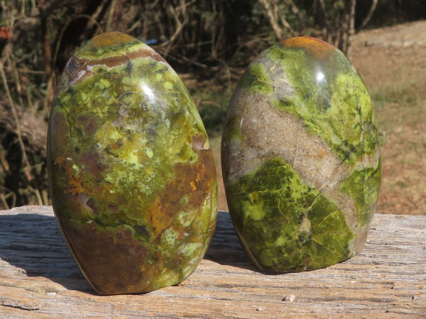 Polished Pair Of Green Opal Standing Free Forms  x 2 From Madagascar - TopRock