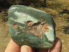 Polished Rare Green Chrysoprase / Chrome Chalcedony / Mtorolite Free Forms  x 12 From Zimbabwe - TopRock