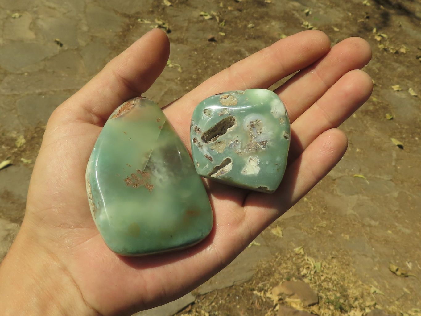 Polished Rare Green Chrysoprase / Chrome Chalcedony / Mtorolite Free Forms  x 12 From Zimbabwe - TopRock
