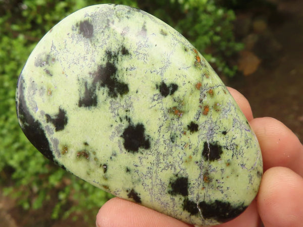 Polished Spotted Leopard Stone Gallets  x 12 From Nyanga & Shamva, Zimbabwe - Toprock Gemstones and Minerals 