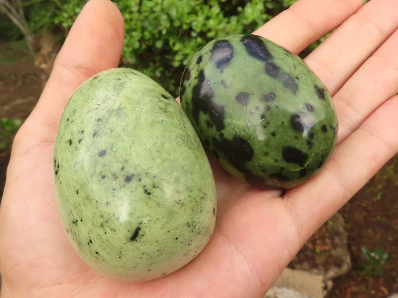 Polished Spotted Leopard Stone Gallets  x 12 From Nyanga & Shamva, Zimbabwe - Toprock Gemstones and Minerals 