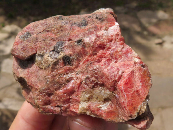 Natural Rough Red Rhodonite Specimens  x 12 From Zimbabwe - TopRock