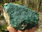 Natural Micro Botryoidal Crystalline Malachite Specimens  x 6 From Congo - Toprock Gemstones and Minerals 