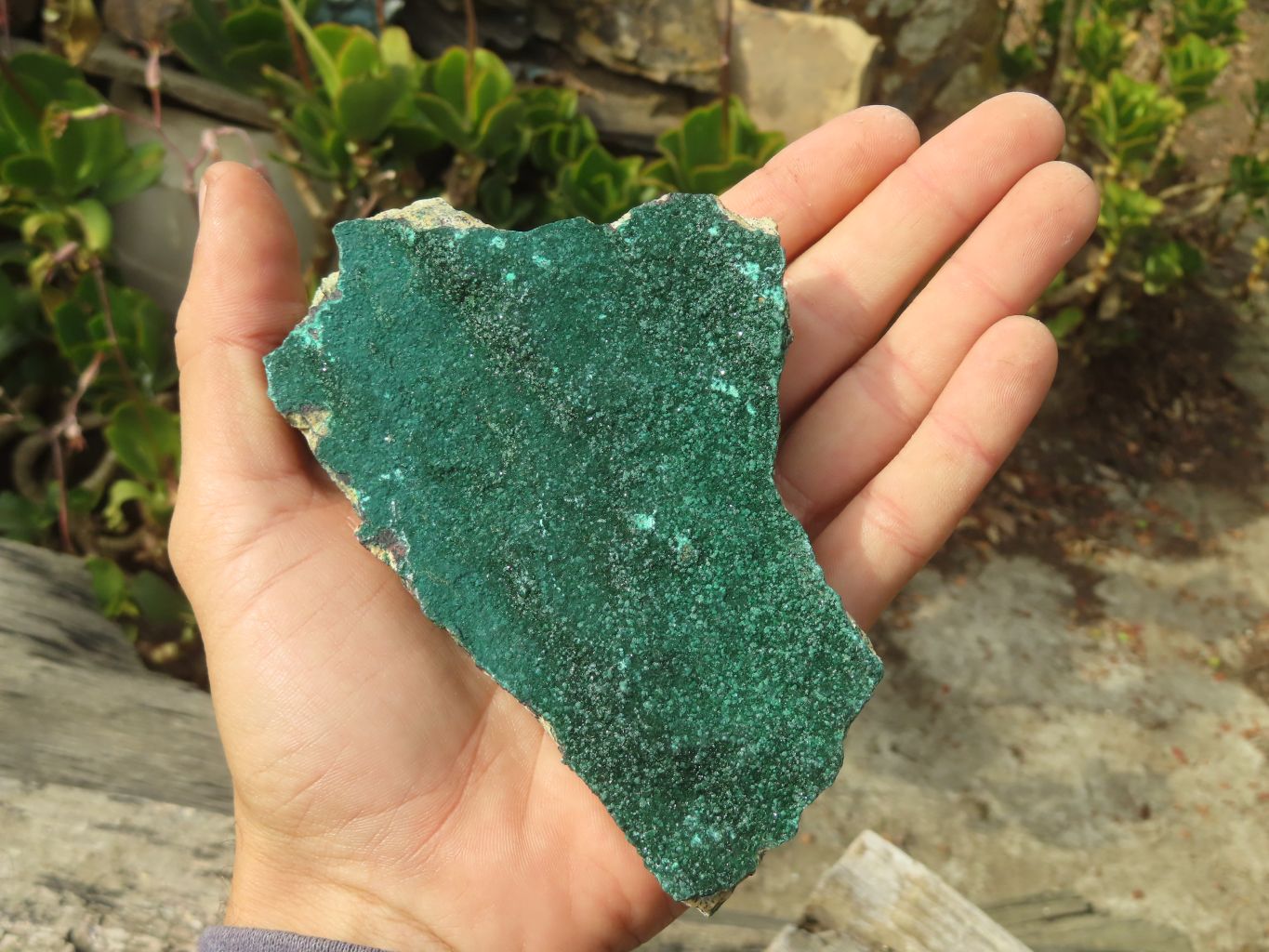 Natural Micro Botryoidal Crystalline Malachite Specimens  x 6 From Congo - Toprock Gemstones and Minerals 