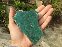 Natural Micro Botryoidal Crystalline Malachite Specimens  x 6 From Congo - Toprock Gemstones and Minerals 