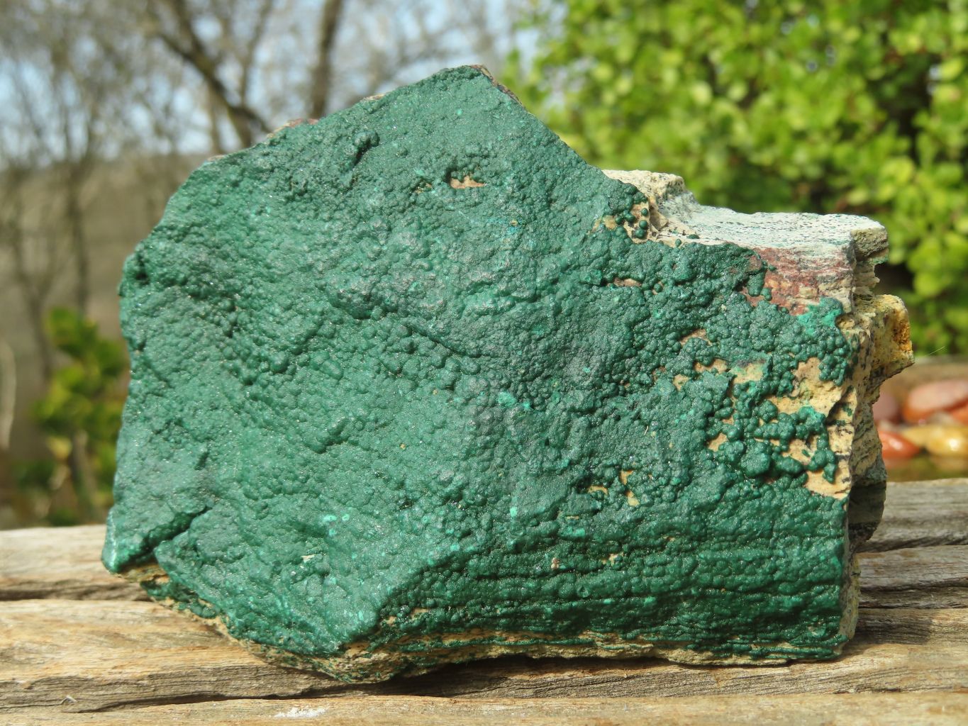 Natural Micro Botryoidal Crystalline Malachite Specimens  x 6 From Congo - Toprock Gemstones and Minerals 