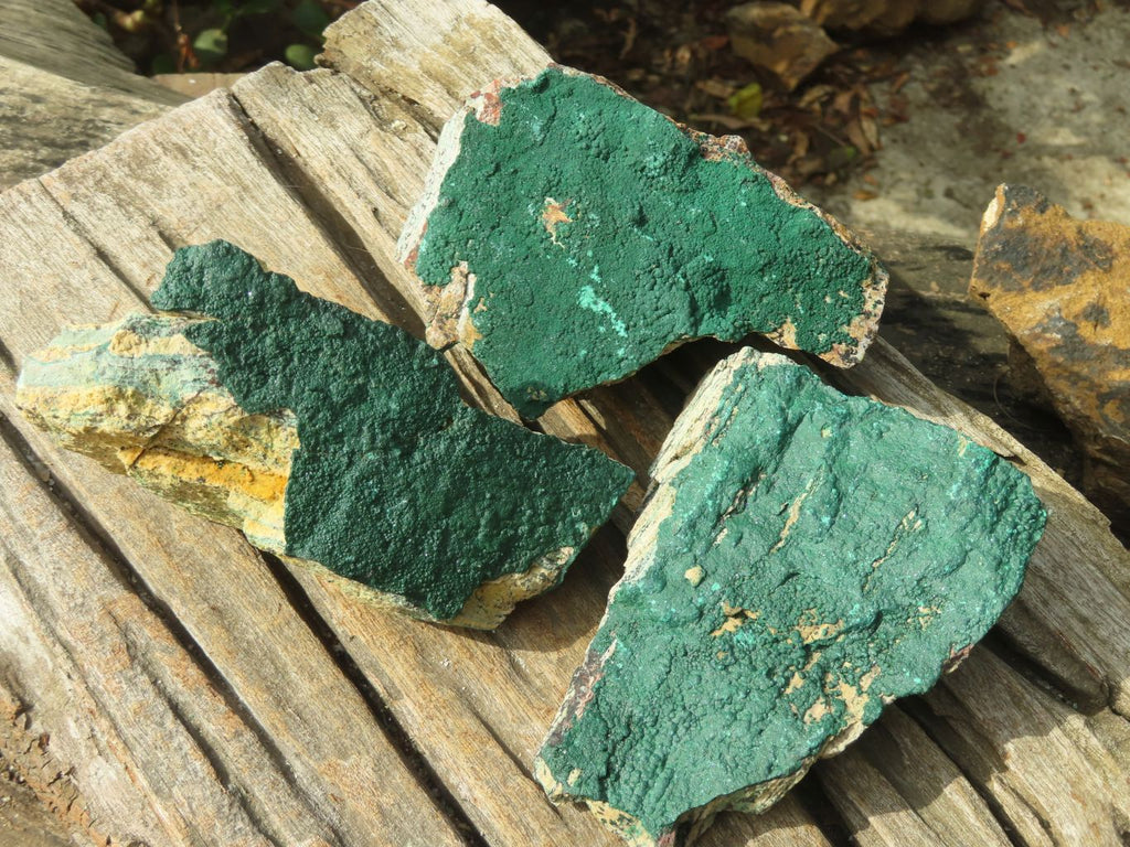 Natural Micro Botryoidal Crystalline Malachite Specimens  x 6 From Congo - Toprock Gemstones and Minerals 