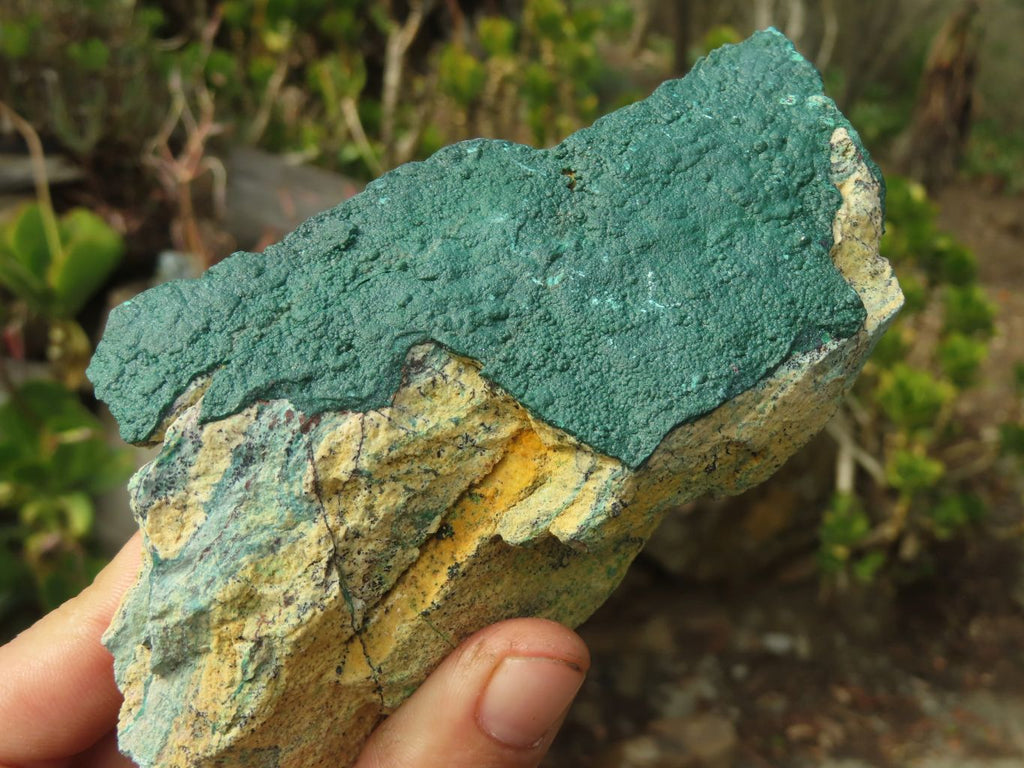 Natural Micro Botryoidal Crystalline Malachite Specimens  x 6 From Congo - Toprock Gemstones and Minerals 