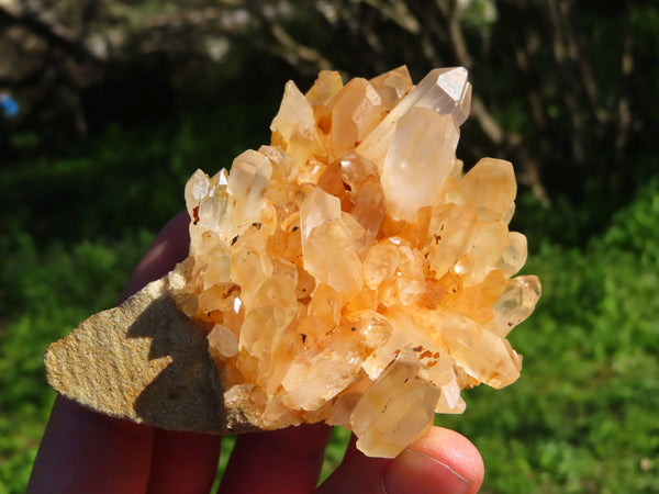 Natural Quartz Clusters Ranging From Clear /White To Pale Orange In Colour x 6 From Madagascar - TopRock