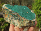 Natural Micro Botryoidal Crystalline Malachite Specimens  x 6 From Congo - Toprock Gemstones and Minerals 