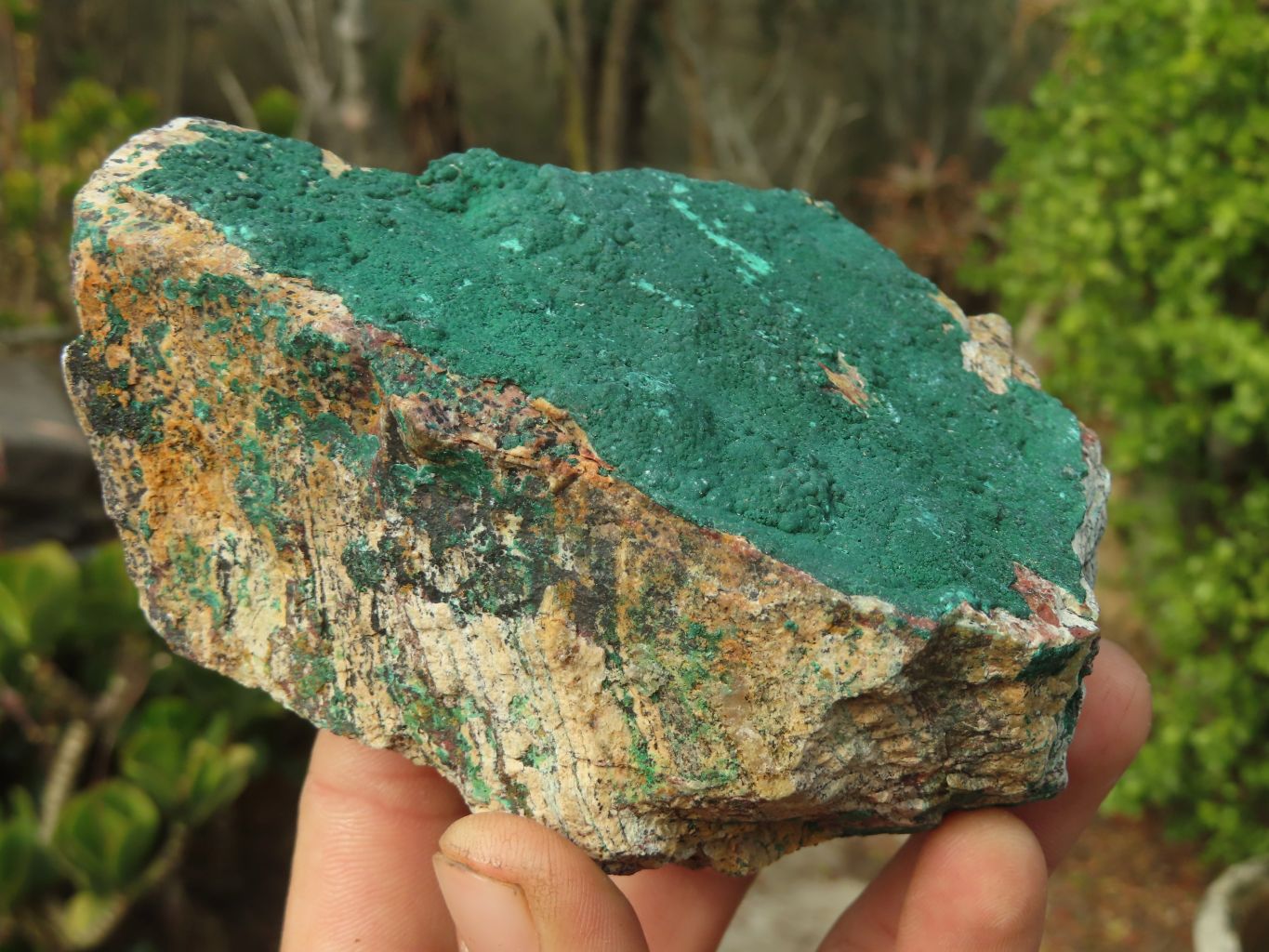 Natural Micro Botryoidal Crystalline Malachite Specimens  x 6 From Congo - Toprock Gemstones and Minerals 