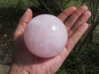 Polished Pink Rose Quartz Spheres With Asterisms In Some  x 3 From Madagascar - TopRock