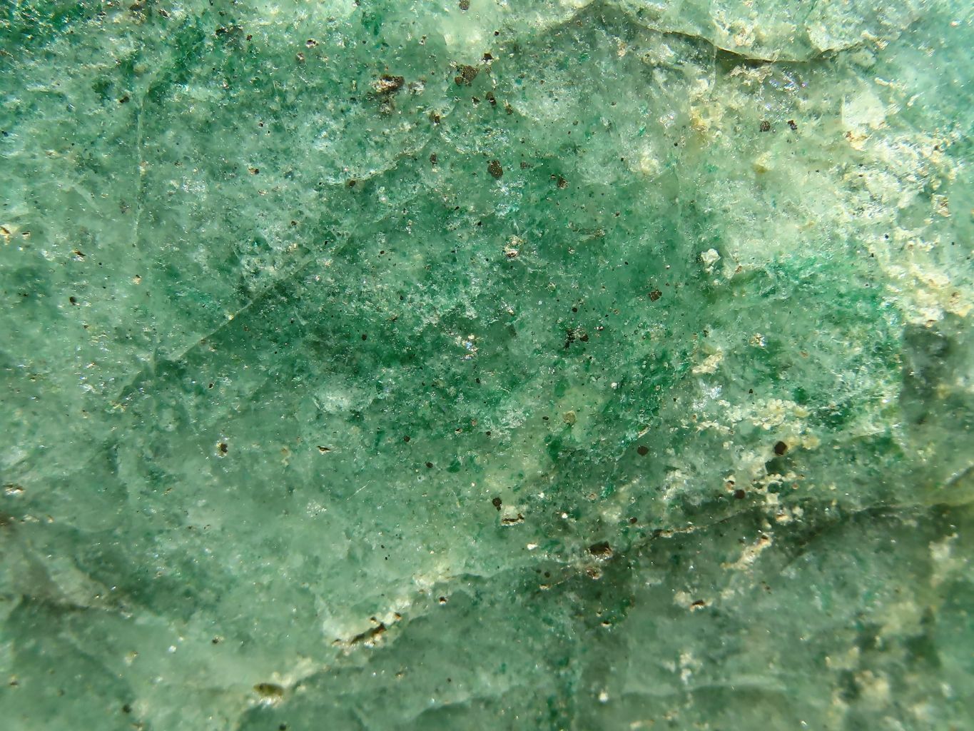 Polished Green Fuchsite Quartz Standing Free Forms  x 2 From Madagascar - TopRock