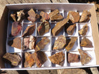 Natural Nguni Jasper Cobbed Specimens  x 27 From Northern Cape, South Africa - Toprock Gemstones and Minerals 