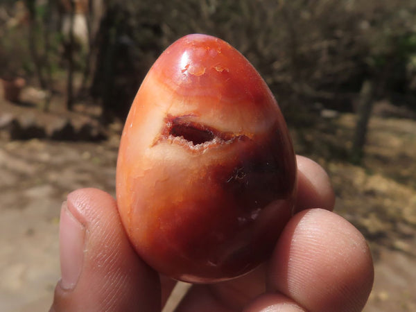 Polished Stunning Carnelian Agate Eggs  x 20 From Madagascar
