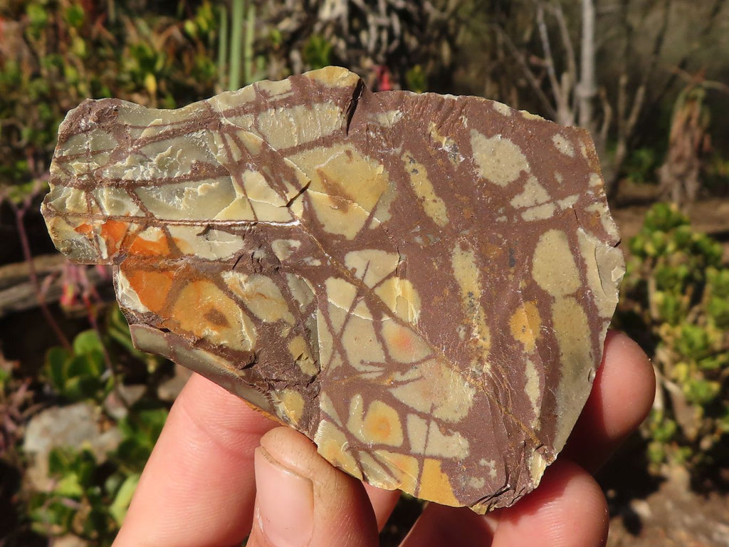 Natural Nguni Jasper Cobbed Specimens  x 27 From Northern Cape, South Africa - Toprock Gemstones and Minerals 