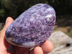 Polished Stunning Specular Purple Lepidolite with White Contrasting Colours Free Forms x 6 From Zimbabwe - TopRock
