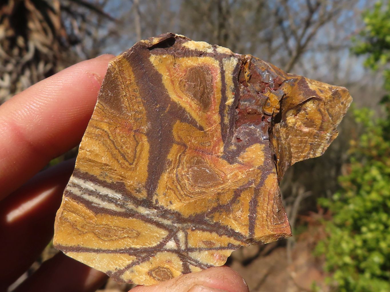 Natural Nguni Jasper Cobbed Specimens  x 27 From Northern Cape, South Africa - Toprock Gemstones and Minerals 