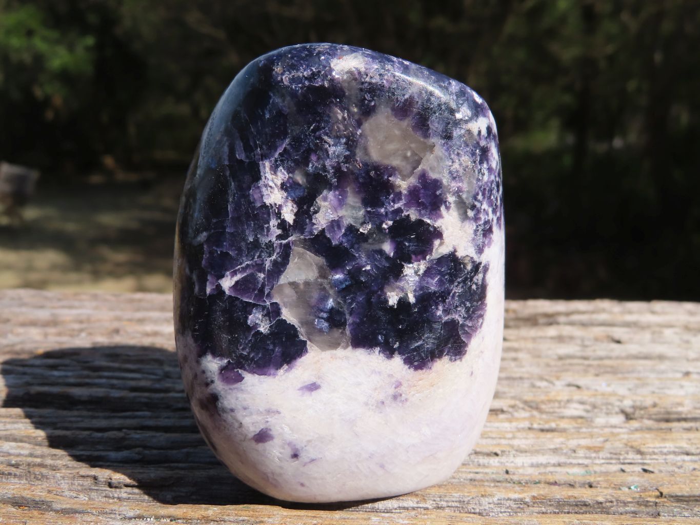 Polished Stunning Specular Purple Lepidolite with White Contrasting Colours Free Forms x 6 From Zimbabwe - TopRock