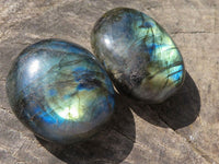 Polished Flashy Labradorite Palm Stones  x 12 From Tulear, Madagascar - TopRock