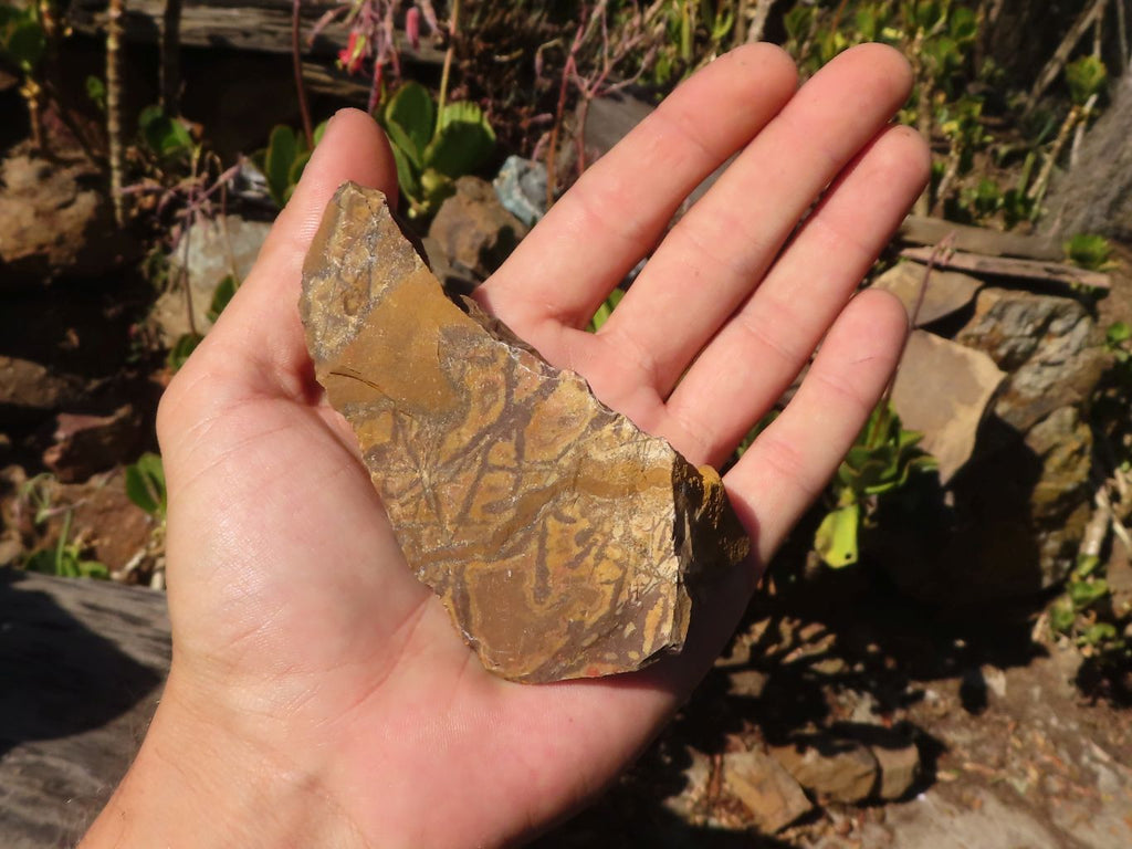 Natural Nguni Jasper Cobbed Specimens  x 27 From Northern Cape, South Africa - Toprock Gemstones and Minerals 