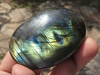 Polished Flashy Labradorite Palm Stones  x 12 From Tulear, Madagascar - TopRock