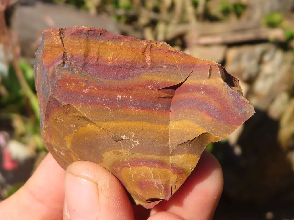 Natural Nguni Jasper Cobbed Specimens  x 27 From Northern Cape, South Africa - Toprock Gemstones and Minerals 