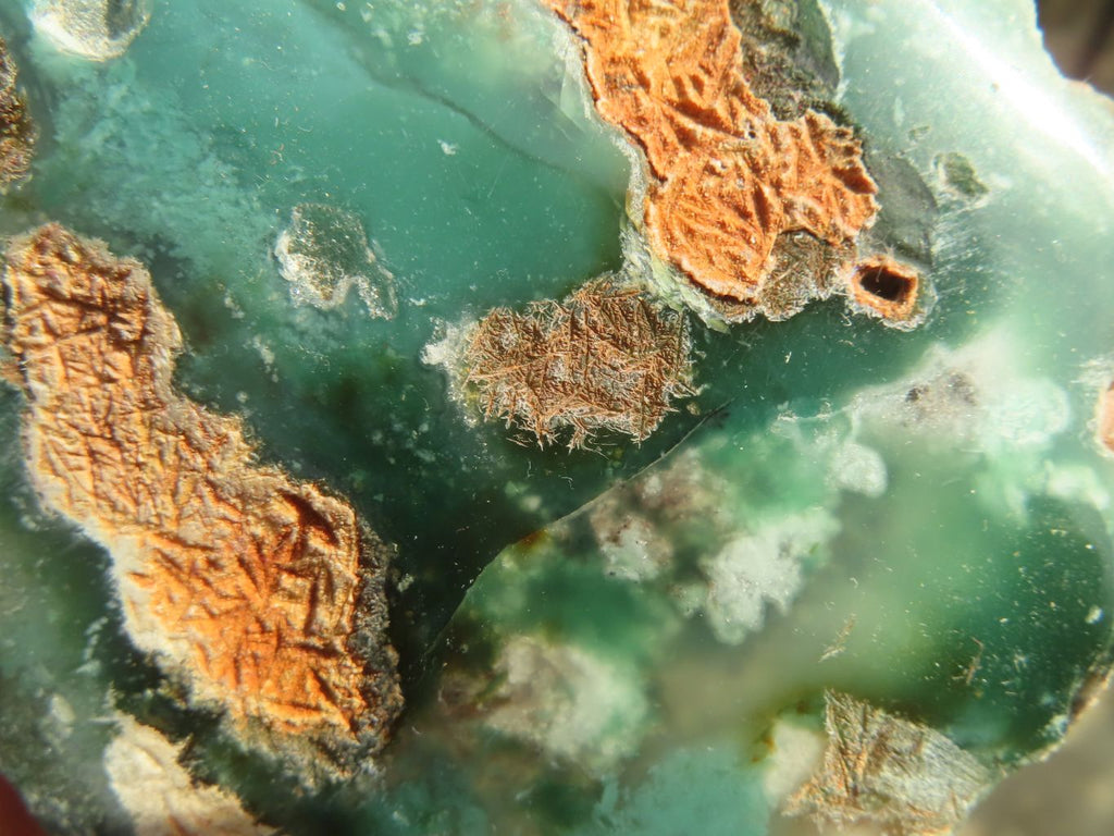 Polished One Side Polished Emerald Mtorolite Plates  x 6 From Zimbabwe - Toprock Gemstones and Minerals 