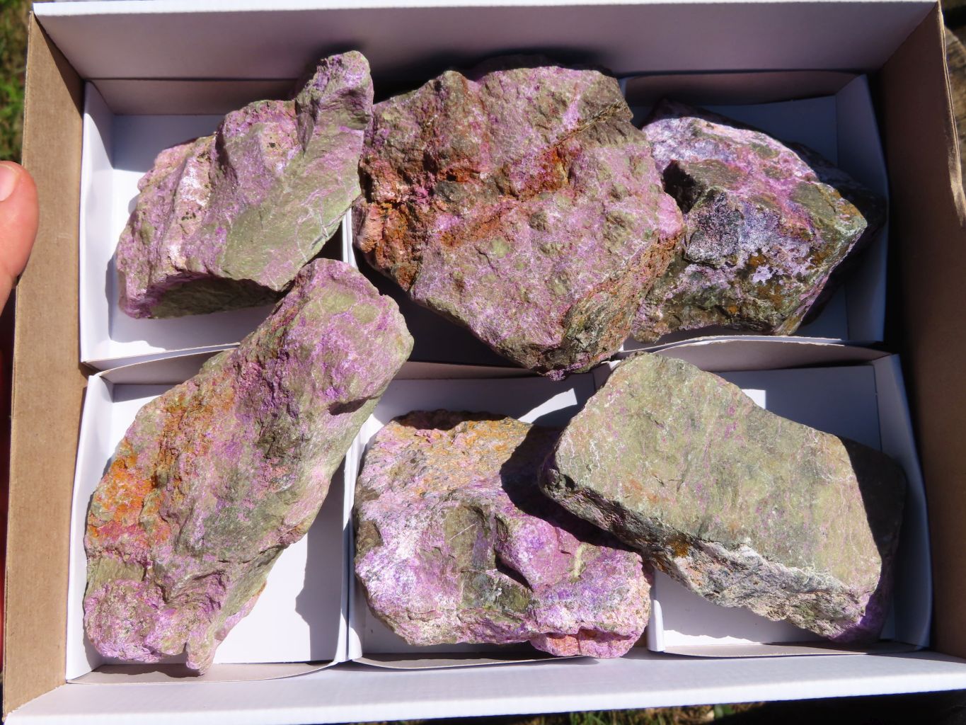 Natural Rare Stichtite & Green Serpentine Specimens x 6 From Barberton, South Africa - TopRock