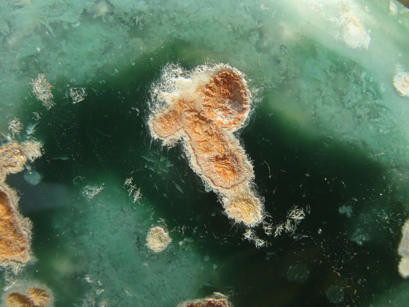 Polished One Side Polished Emerald Mtorolite Plates  x 6 From Zimbabwe - Toprock Gemstones and Minerals 