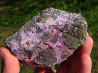 Natural Rare Stichtite & Green Serpentine Specimens x 6 From Barberton, South Africa - TopRock