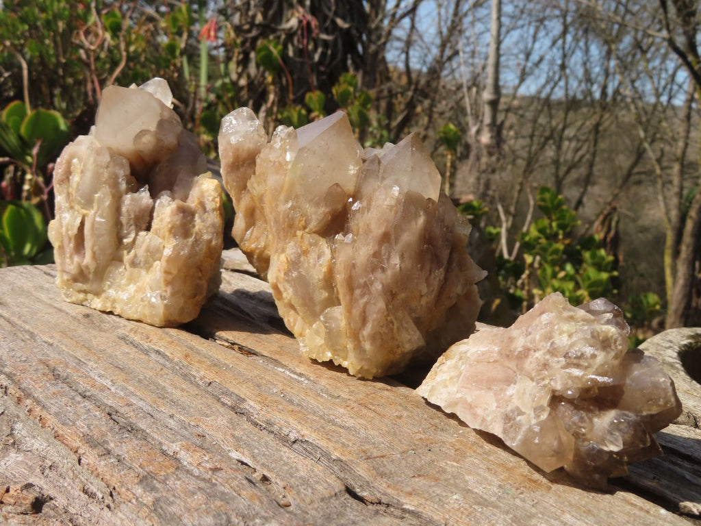 Natural Cascading Smokey Quartz Clusters x 3 From Luena, Congo - Toprock Gemstones and Minerals 