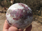 Polished Pink Rubellite Tourmaline Spheres  x 6 From Madagascar - TopRock