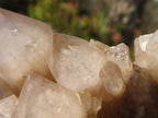 Natural Cascading Smokey Quartz Clusters x 3 From Luena, Congo - Toprock Gemstones and Minerals 