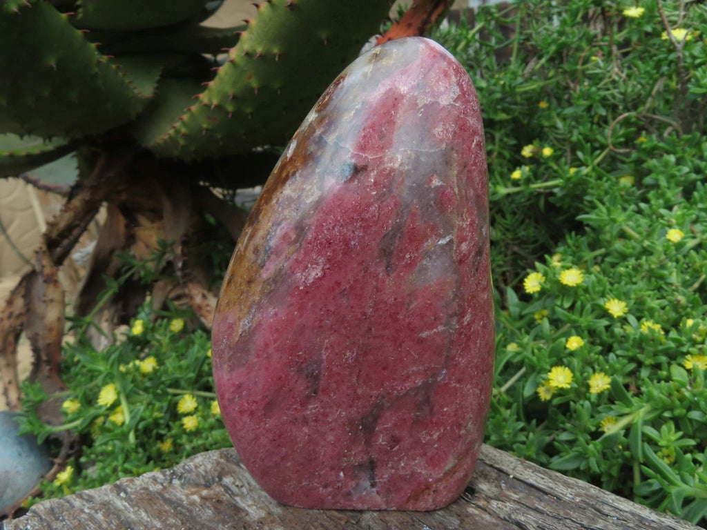 Polished Rhodonite Standing Free Forms x 2 From Madagascar - TopRock