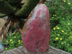 Polished Rhodonite Standing Free Forms x 2 From Madagascar - TopRock